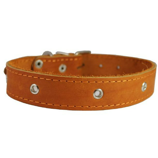 Genuine Leather Dog Collar Studded 15"-20" neck 1.25"wide  Amstaff 